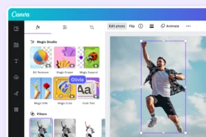 canva success story
